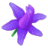 Larkspur Flower