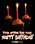 Bday_anotheryear_web_thumb.gif