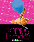 Bday_bdaycat_web_thumb.gif