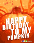 Bday_bdaypumpkin_web_thumb.gif