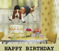 Bday_beagle_web_thumb.gif