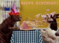 Bday_catdog_web_thumb.jpg