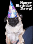 Bday_dawg_web_thumb.gif