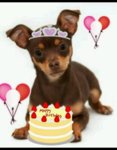 Bday_dragonspup_web_thumb.jpg