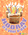 Bday_hooraybday_web_thumb.gif