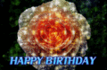 Bday_megasparkle_web_thumb.gif
