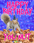 Bday_nut_web_thumb.gif