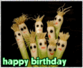 Bday_onions_web_thumb.gif