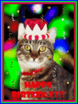 Bday_partycat_web_thumb.gif