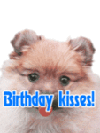 Bday_pupkisses_web_thumb.gif