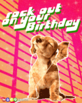 Bday_rockout_web_thumb.gif