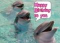 Bday_singingdolphins_web_thumb.jpg