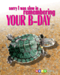 Bday_slowbday_web_thumb.gif