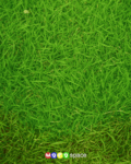 Bday_soccer_web_thumb.gif