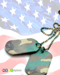 Bday_soldier_web_thumb.gif