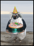 Bday_welshpengiun_web_thumb.gif