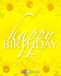 Bday_yellowflower_web_thumb.gif