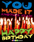 Bday_youmadeit_web_thumb.gif