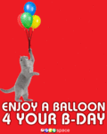 Birthday_balloonbday_web_thumb.gif