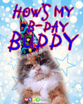 Birthday_bdaybuddy_web_thumb.gif
