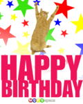 Birthday_dancecat_web_thumb.gif