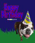 Birthday_happybday2_web_thumb.gif