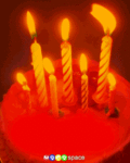 Birthday_happybirthday72_web_thumb.gif