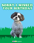 Birthday_missedbirthday_web_thumb.gif