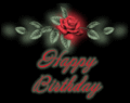 Birthday_redrose_web_thumb.gif