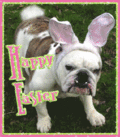 Easter_bulldog_web_thumb.gif