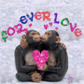 Flirt_4evalexy_web_thumb.gif