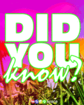 Flirt_didyouknow_web_thumb.gif