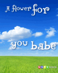 Flirt_flowerforubabe_web_thumb.gif
