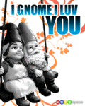 Flirt_gnomeiluvyou_web_thumb.gif
