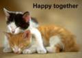 Flirt_happy2gethr_web_thumb.jpg