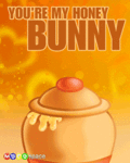 Flirt_honeybunny2_web_thumb.gif