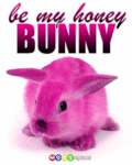 Flirt_honeybunny_web_thumb.gif