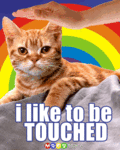 Flirt_iliketobetouched_web_thumb.gif