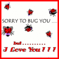 Flirt_ladybugz_web_thumb.gif