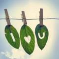 Flirt_leaflove_web_thumb.jpg