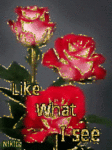 Flirt_likesee_web_thumb.gif