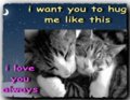 Flirt_lizykittens_web_thumb.jpg