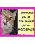 Flirt_lizysexy_web_thumb.jpg