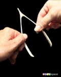 Flirt_makeawish3_web_thumb.gif