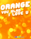 Flirt_orangeuglad_web_thumb.gif