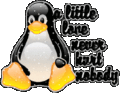 Flirt_penguin_web_thumb.gif