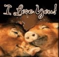 Flirt_piggies_web_thumb.gif