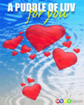 Flirt_puddleoflove_web_thumb.gif
