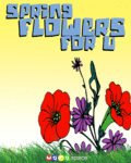 Flirt_springflowers_web_thumb.gif