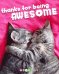 Flirt_thanksawesome_web_thumb.gif